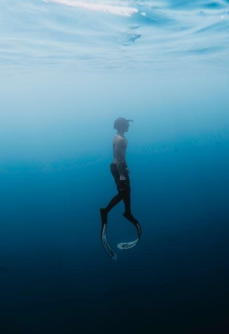 pdf padi open water diver manual
