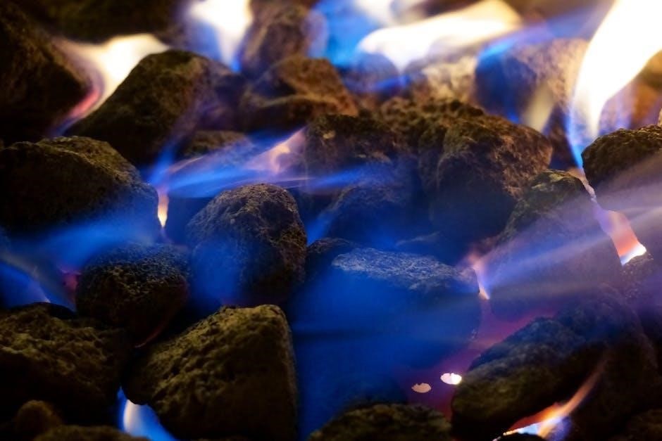 manual for napoleon gas fireplace