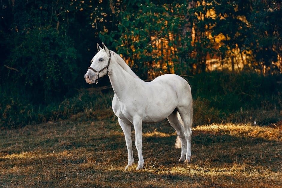 pony diffusion prompt guide