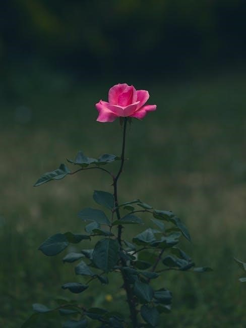 rose toy instructions