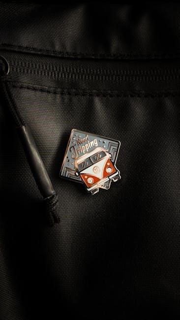 brownie cabin camper badge requirements pdf