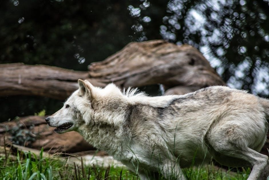 wolf oven troubleshooting guide
