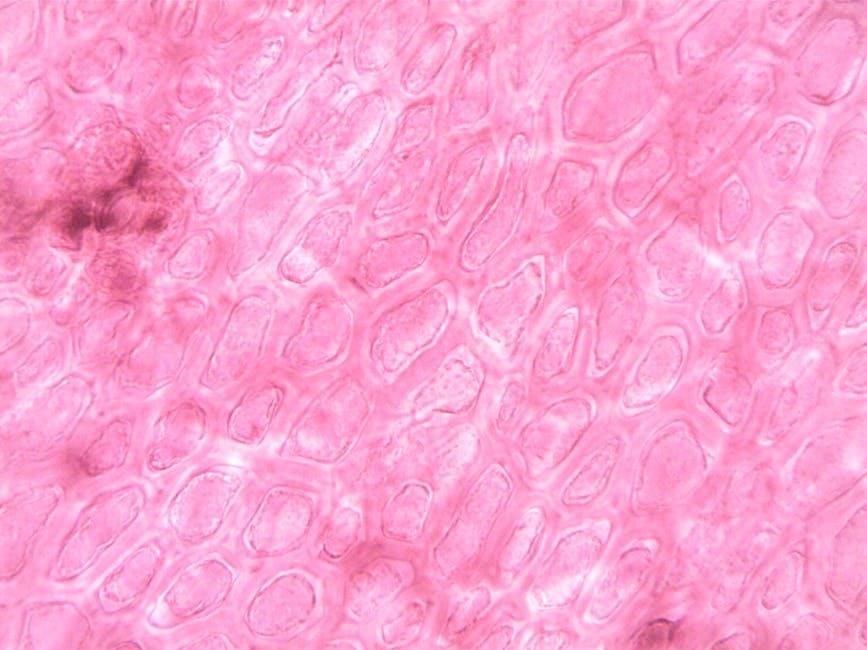 cell membrane bubble lab answers pdf